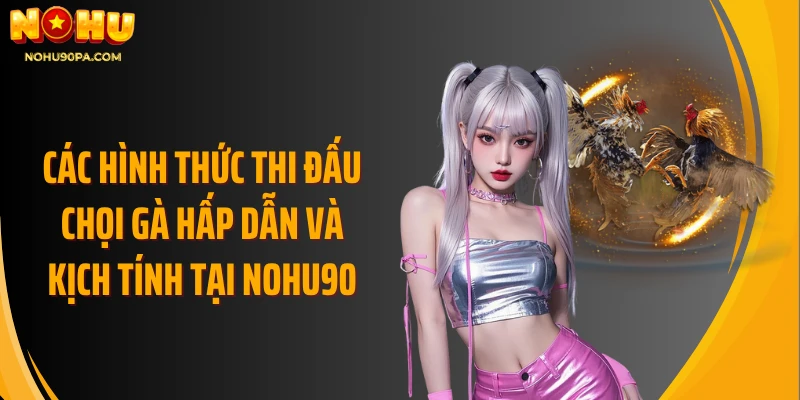 Các hình thức thi đấu chọi gà hấp dẫn và kịch tính tại Nohu90