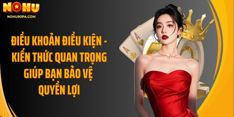 Điều khoản điều kiện - Kiến thức quan trọng giúp bạn bảo vệ quyền lợi