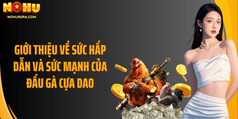 Giới thiệu về sức hấp dẫn và sức mạnh của đấu gà cựa dao