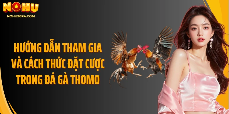 Hướng dẫn tham gia và cách thức đặt cược trong đá gà Thomo