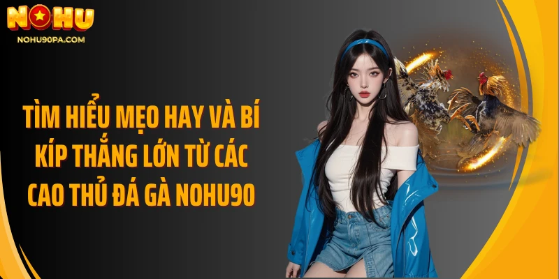 Tìm hiểu mẹo hay và bí kíp thắng lớn từ các cao thủ đá gà Nohu90